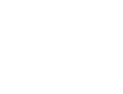 80 лет Победы